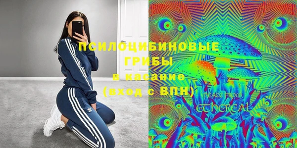ECSTASY Армянск